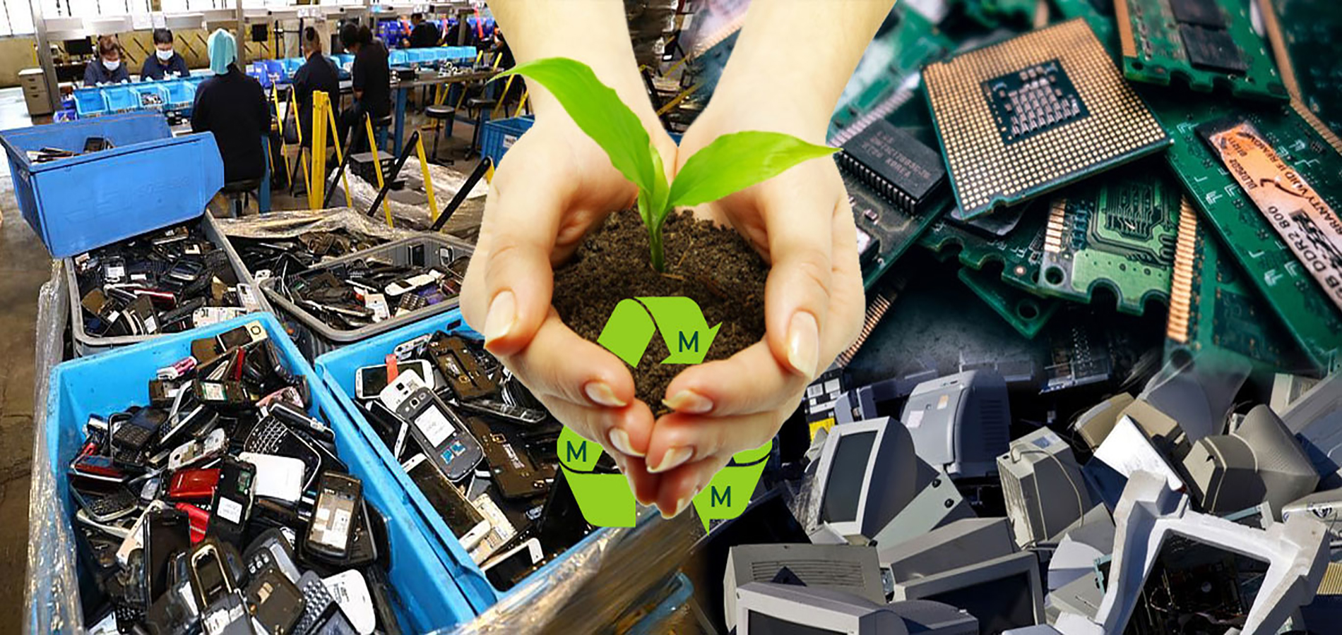 IT Asset Disposition